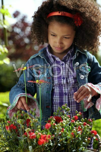 Girl with basket Dianthus red