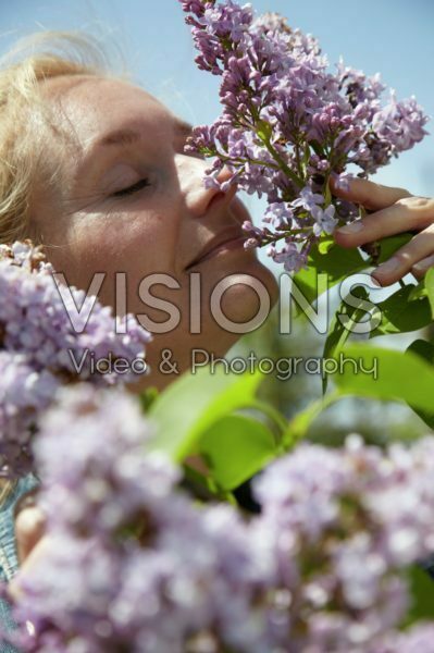 Woman smelling Syringa shrub