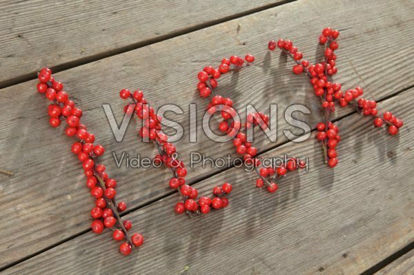 Ilex berries