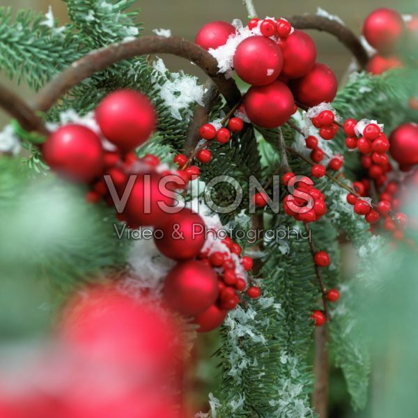 Decorated fence