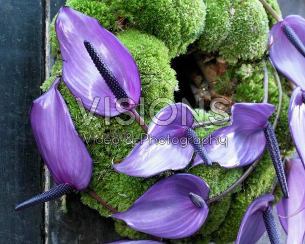 Moss wreath