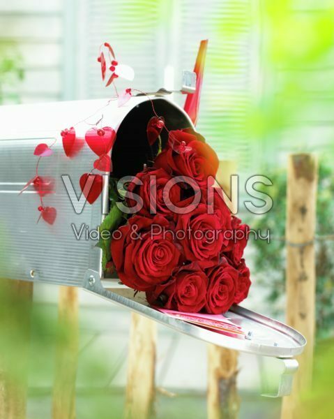 Red roses in mail box