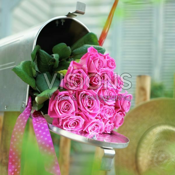 Pink roses in mailbox