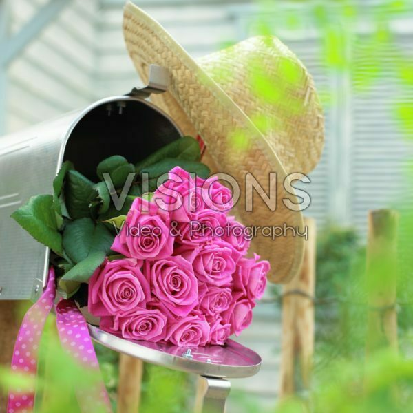 Pink roses in mailbox