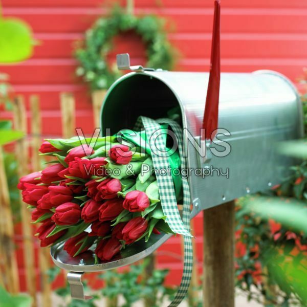 Red tulips in mailbox