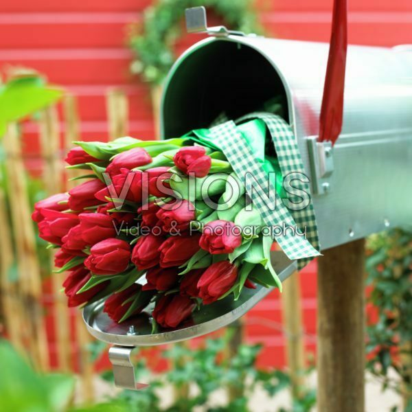 Red tulips in mailbox