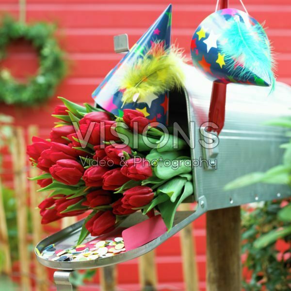 Red tulips in mailbox