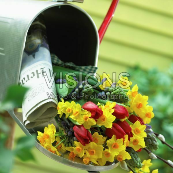 Spring bouquet in mailbox