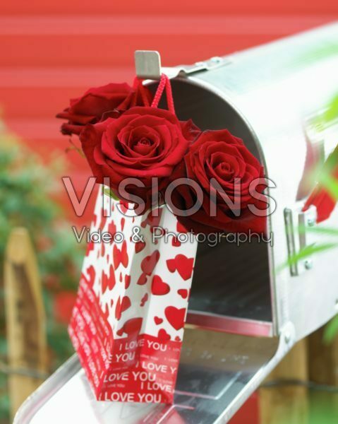 Red roses in mailbox