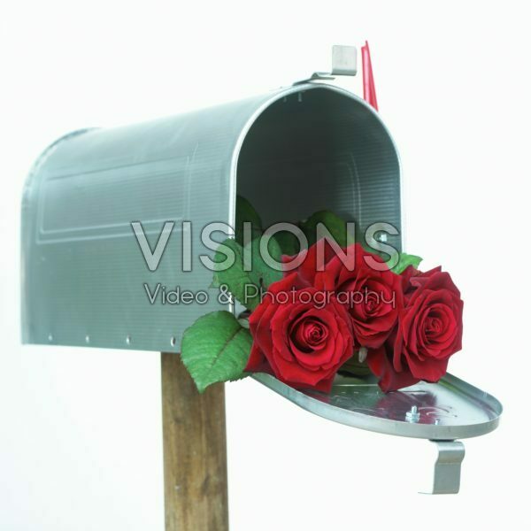 Red roses in mailbox
