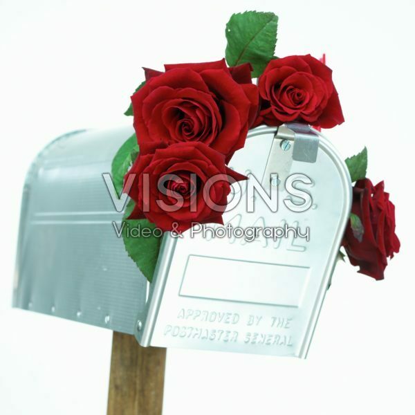 Rode rozen in brievenbus