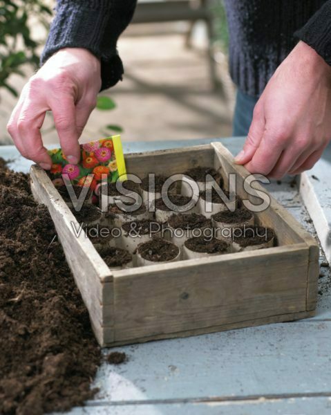 Filling paper seed pots with seeds