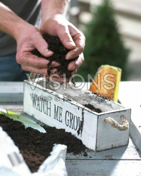 Filling pot with soil