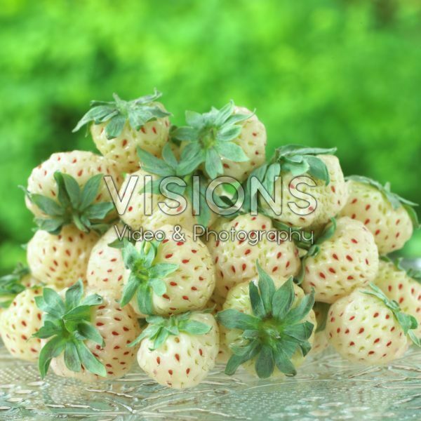 Fragaria x ananassa Pineberry Fragaria x ananassa Pineberry