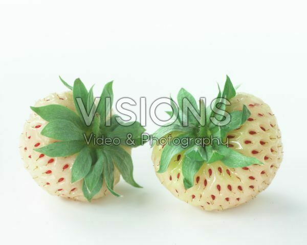 Fragaria x ananassa Pineberry