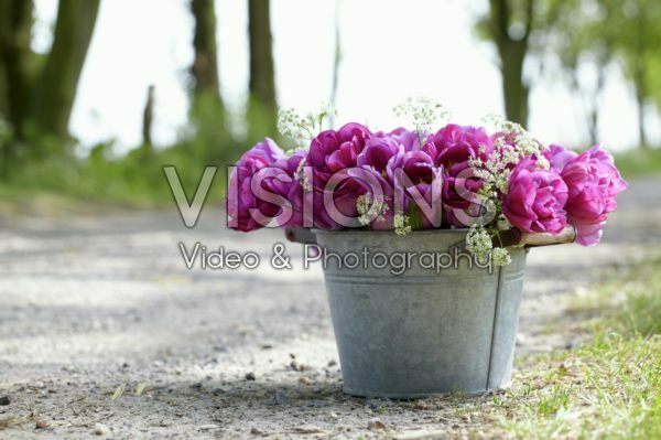 Tulpen boeket