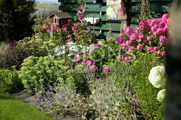 Vasteplanten border