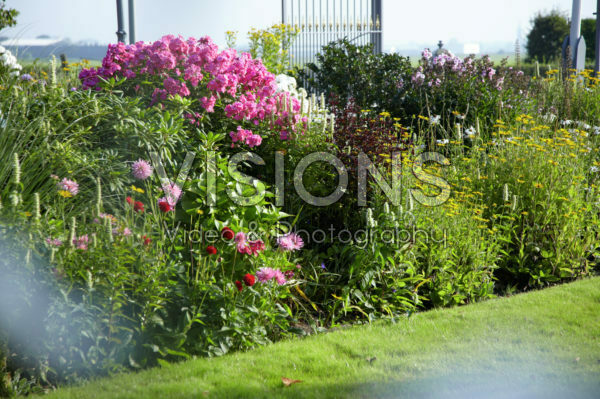 Vasteplanten border