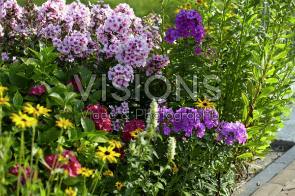 Perennial border