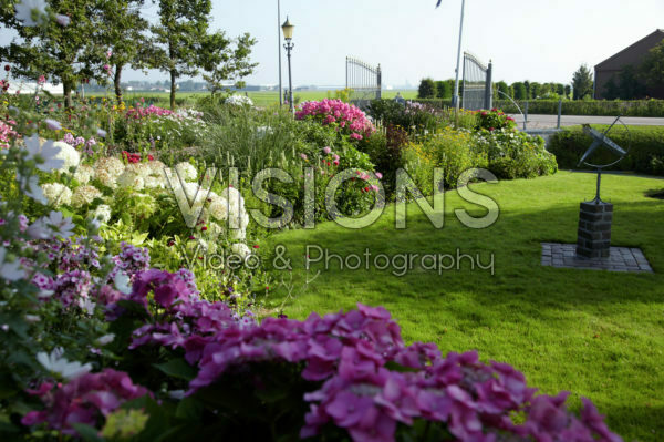 Perennial border