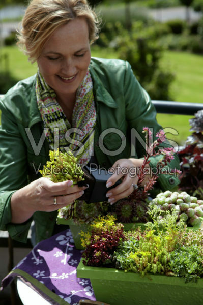 Woman planting succulents