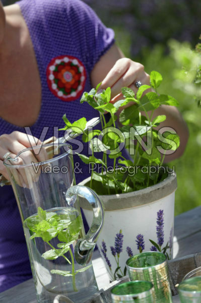Woman gardening with herbs