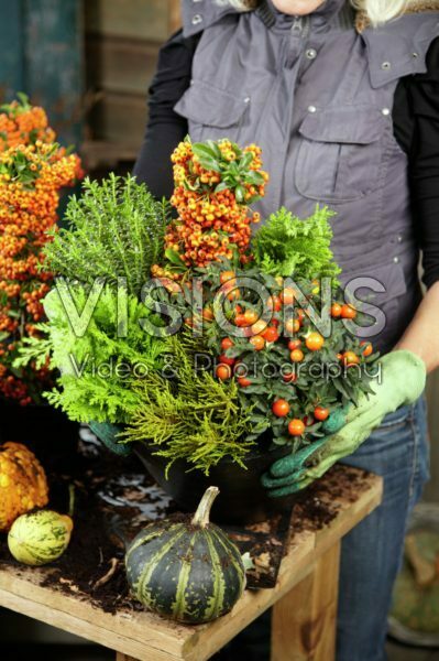 Planten van winter container