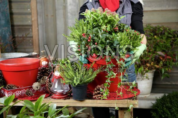 Planten van winter container