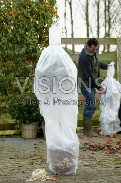 Planten winterklaar maken