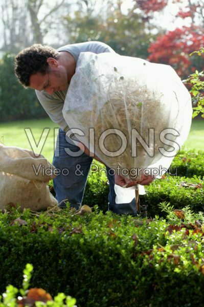 Planten winterklaar maken