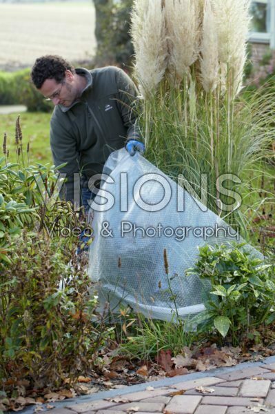 Winter plant protection