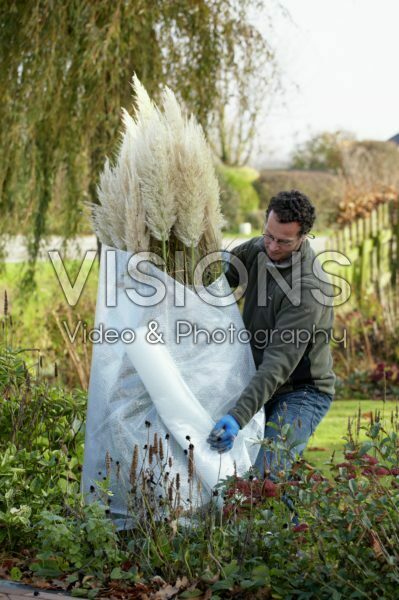 Planten winterklaar maken