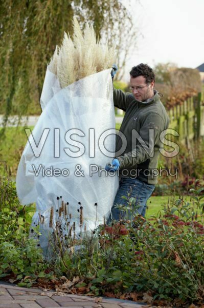 Planten winterklaar maken