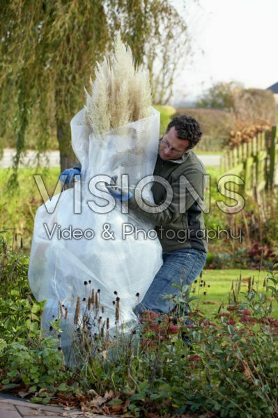 Planten winterklaar maken