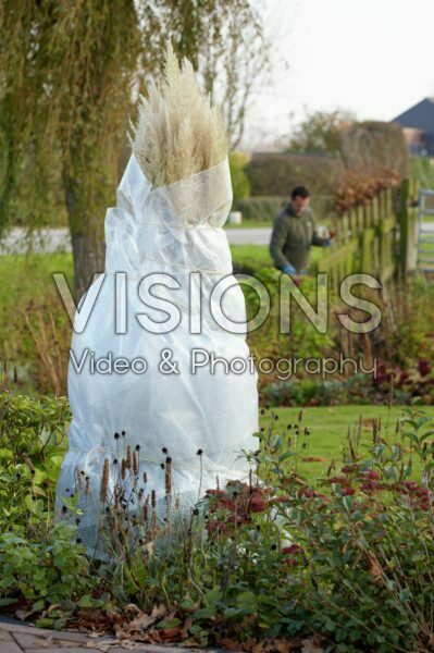 Planten winterklaar maken