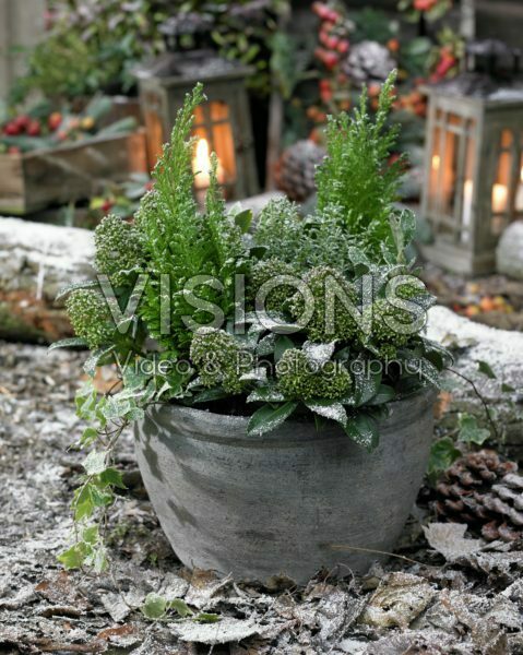Winter container