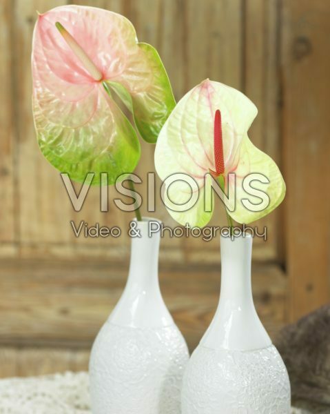 Flowers in vases