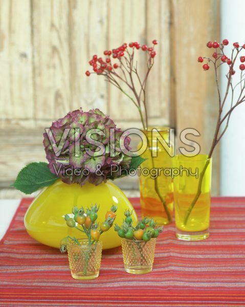 Flowers in vases