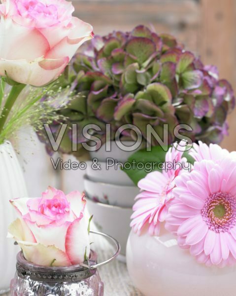 Flowers in vases