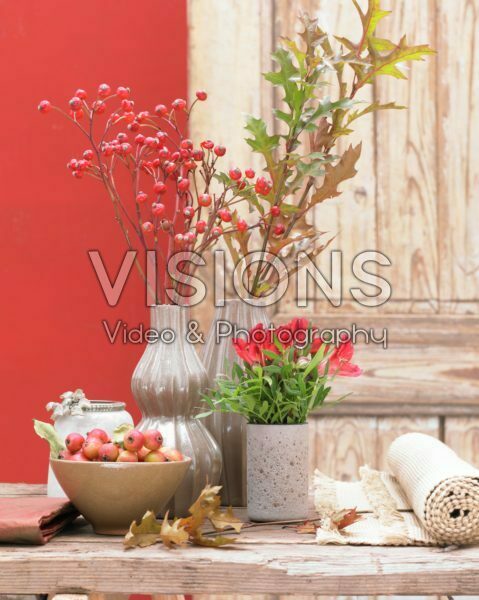 Flowers in vases