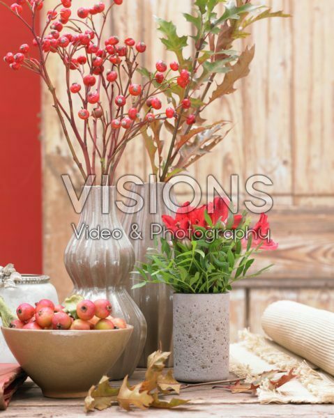 Flowers in vases