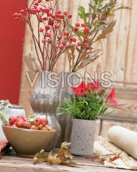 Flowers in vases