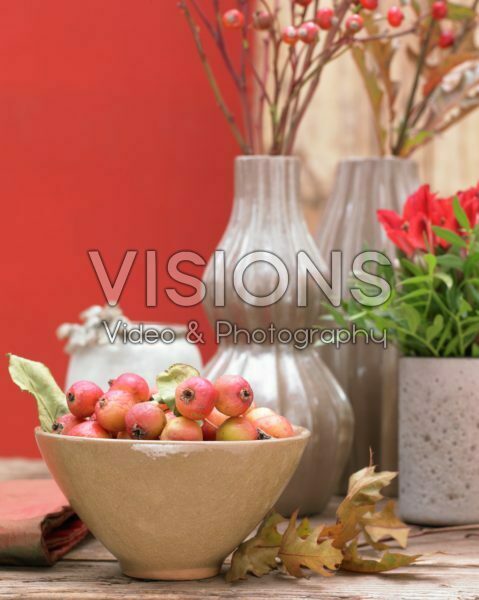 Flowers in vases