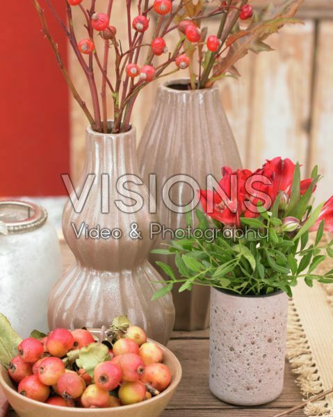 Flowers in vases