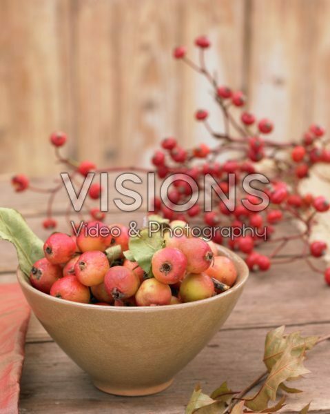 Crabapples and rose hips