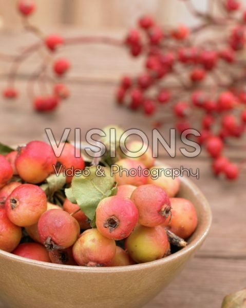 Crabapples and rose hips