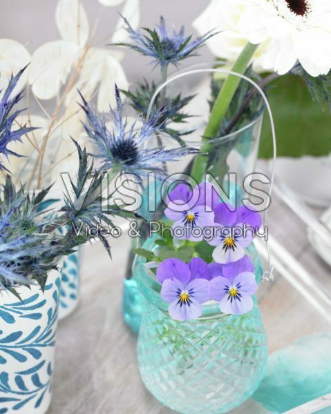 Flowers in vases