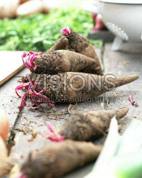 Beta vulgaris Red Crapaudine