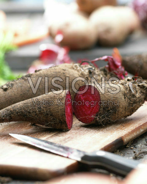 Beta vulgaris Red Crapaudine