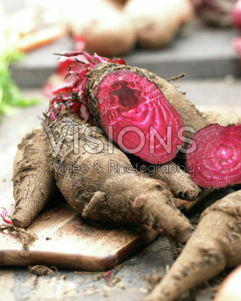 Beta vulgaris Red Crapaudine